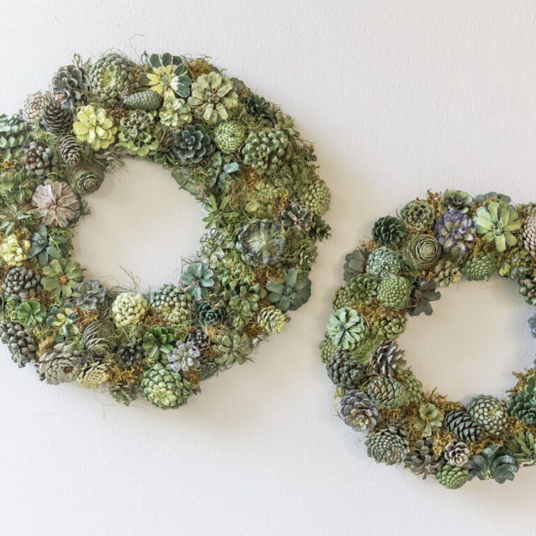 Succulent Wreaths